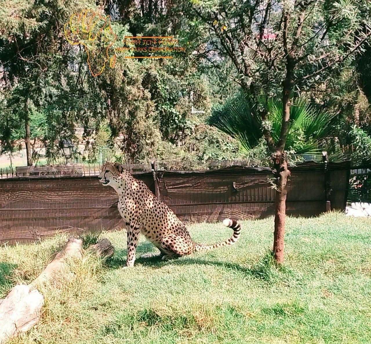 unitypark3