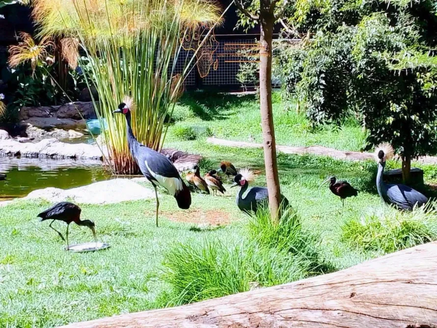 unitypark2